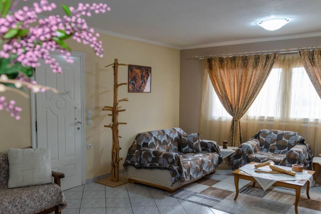 Apartmán Dimitri'S Mountain House Karpenísion Exteriér fotografie