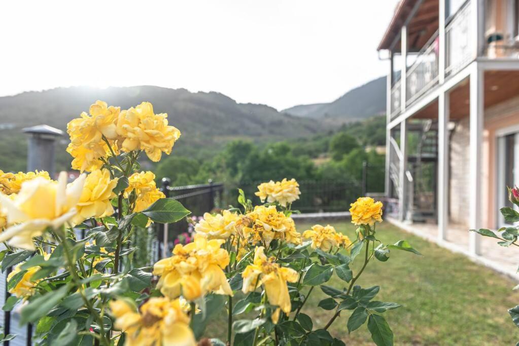 Apartmán Dimitri'S Mountain House Karpenísion Exteriér fotografie